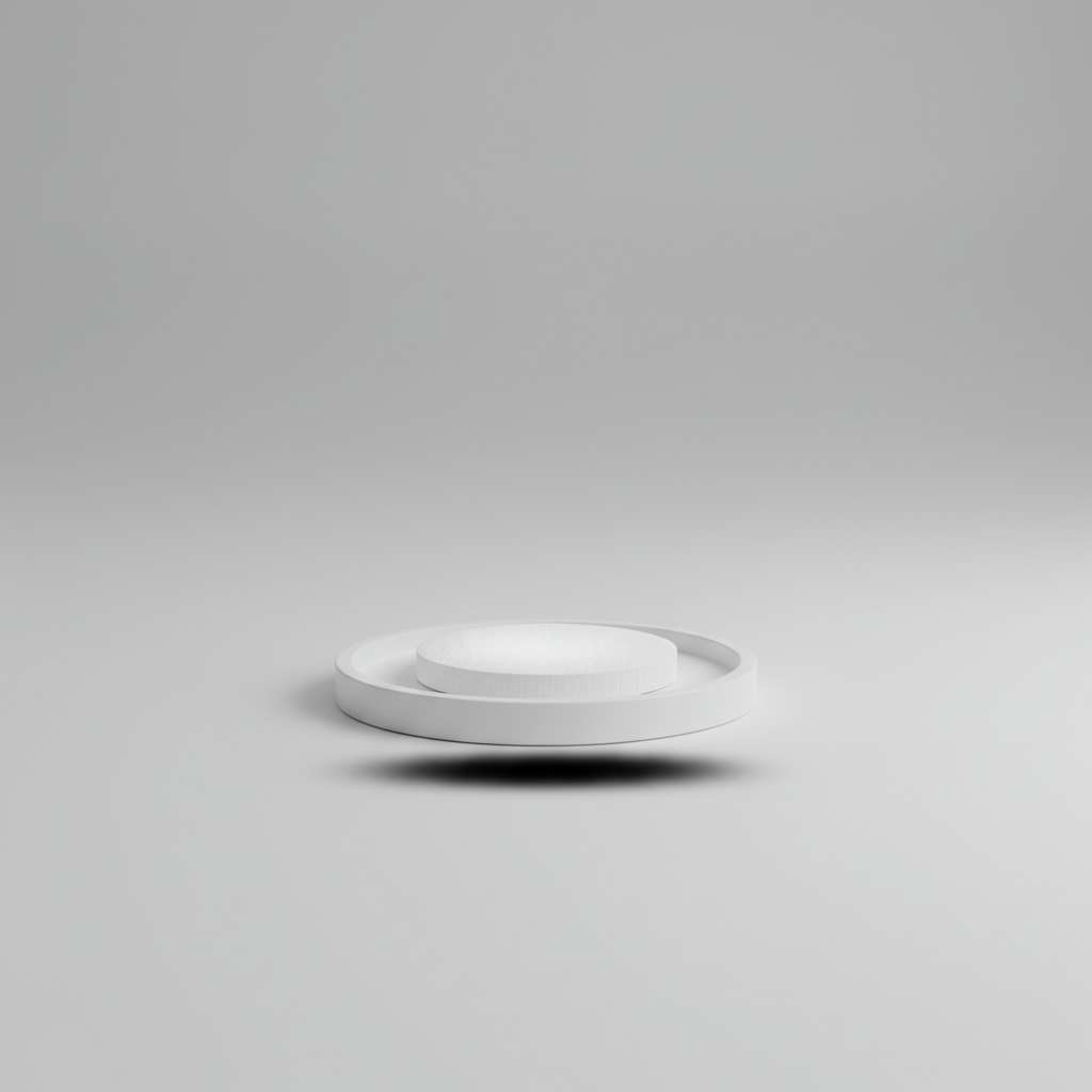 ADQ-Extraktionsfilter für ADDIPURE PEO‑Extraktor (50 mm, Packung 10 Stück)