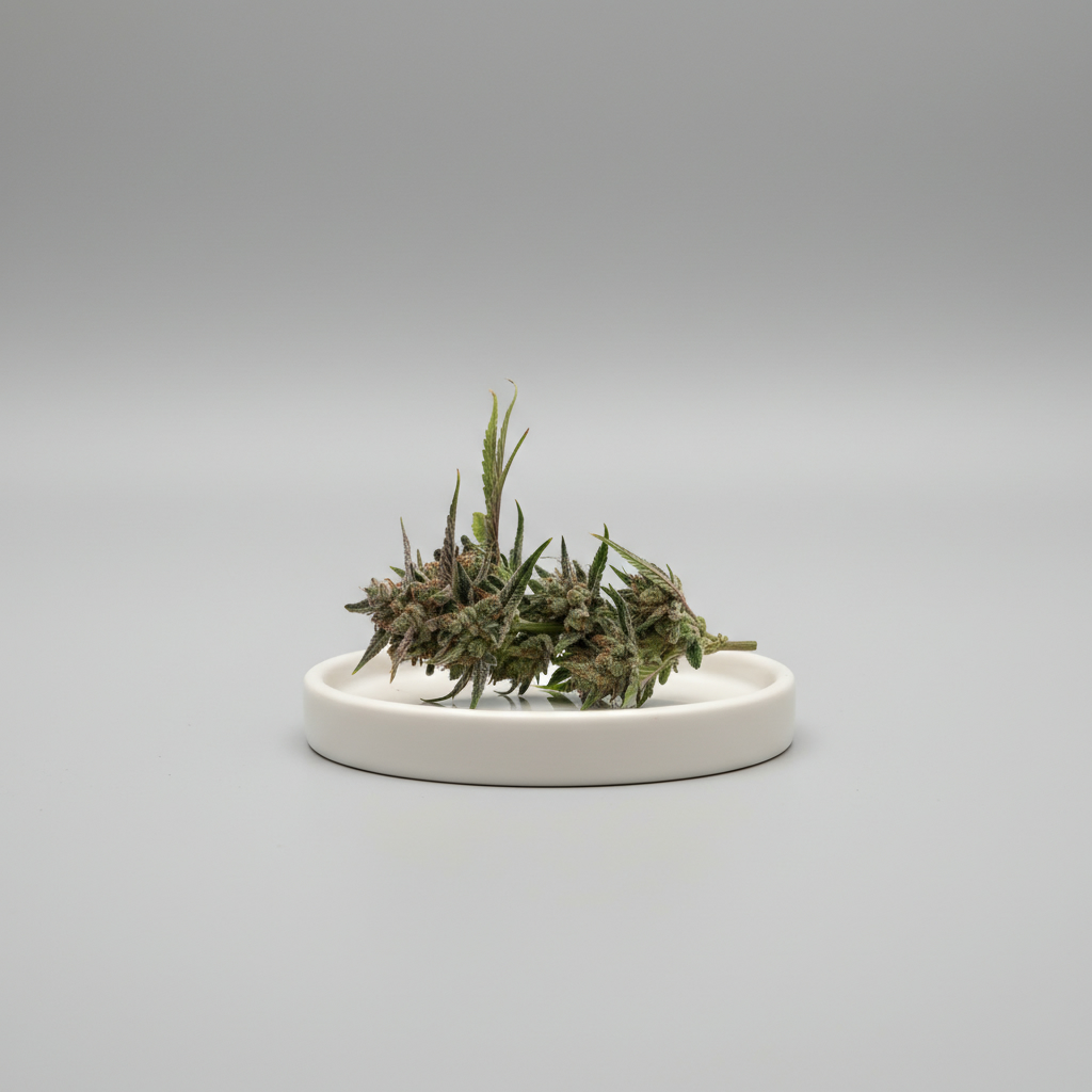 Autoflower Ztrawberriez Fast Buds 2er