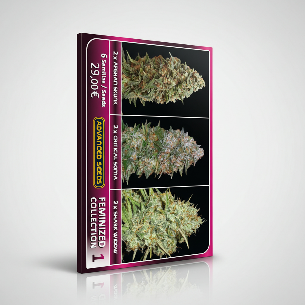 Advanced Seeds Feminized Collection 1 2x Afghan Skunk 2x Critical Soma 2x Shark Widow